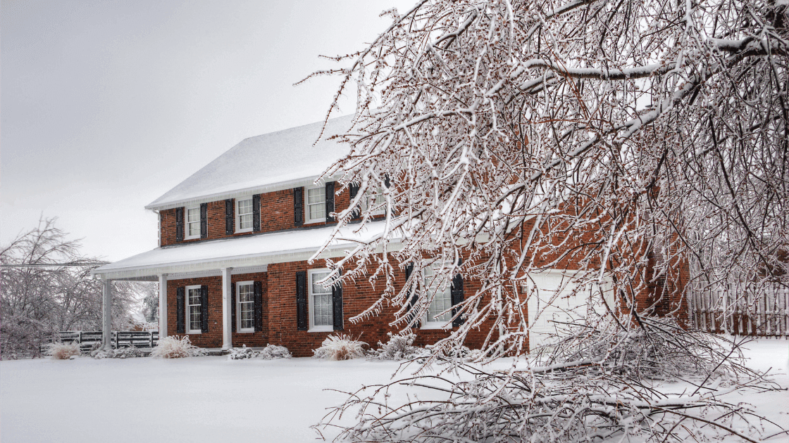 Snow-covered brick house with frosty tree branches