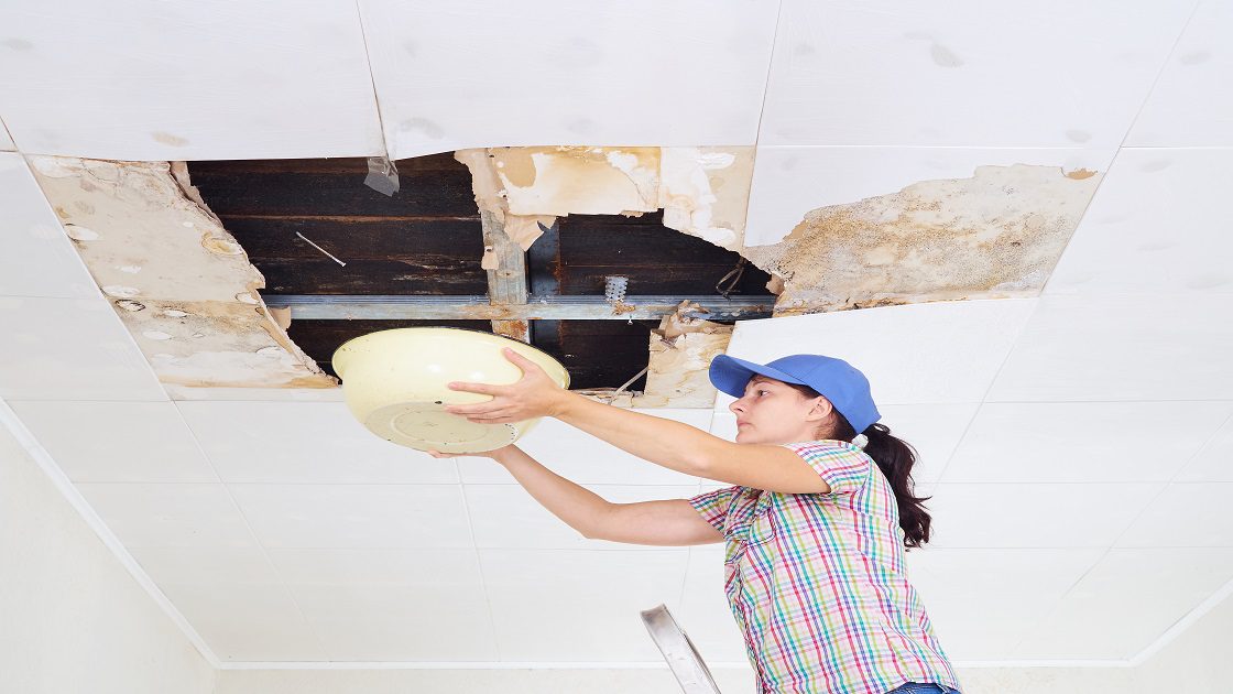 Person catching leak from damaged ceiling